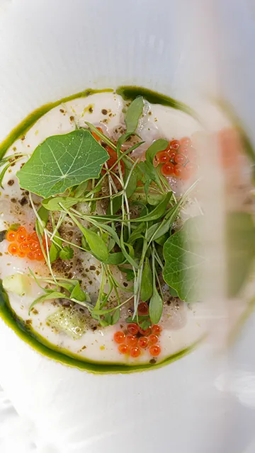 KOGU ceviche